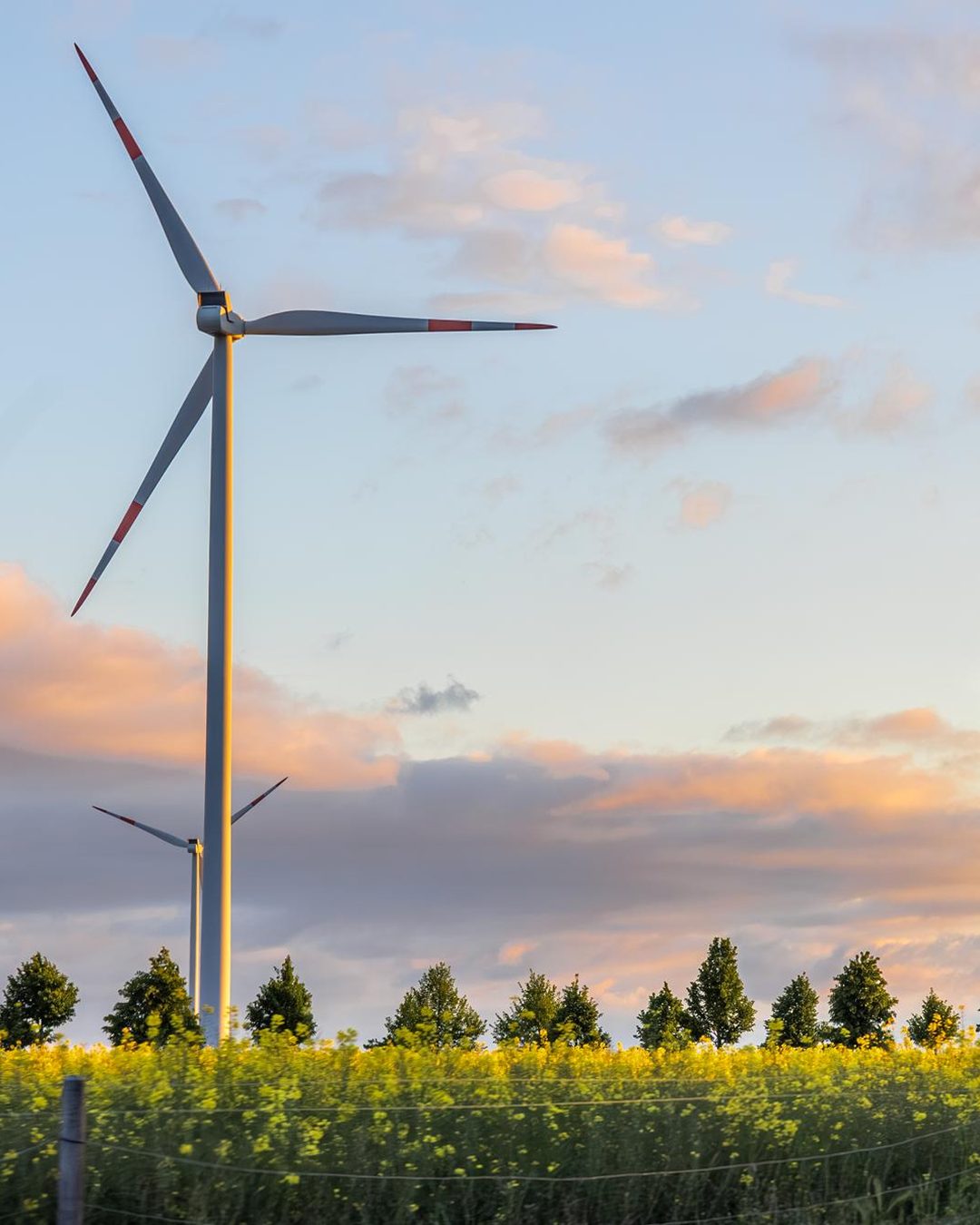 Wind turbines above a field at sunset